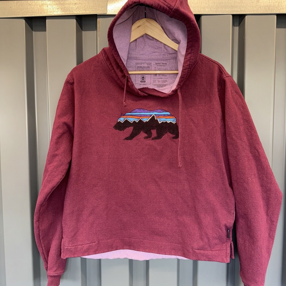 Patagonia Bear Hoodie Uprising Hoodie Large  Regular Fit Unisex Salmon
